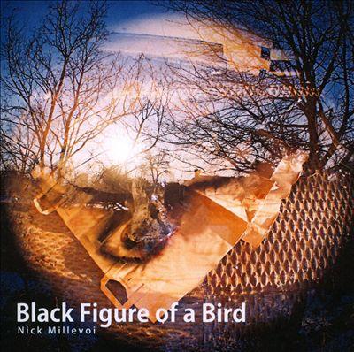 Nick Millevoi - Black Figure of a Bird